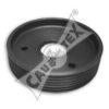 CAUTEX 020908 Pulley, power steering pump